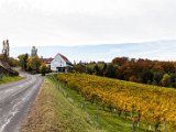 201610_067.jpg