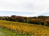 201610_068.jpg
