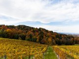 201610_069.jpg