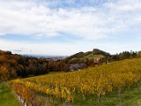 201610_070.jpg