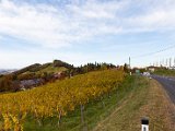 201610_071.jpg