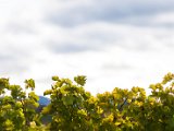 201610_076.jpg