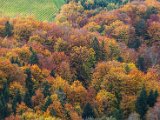 201610_084.jpg