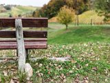 201610_092.jpg
