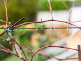 201610_096.jpg