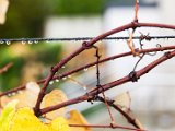 201610_097.jpg
