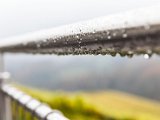 201610_101.jpg