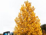 201610_110.jpg