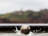 201610_129.jpg