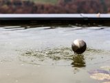 201610_131.jpg