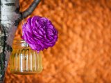 201706_003.jpg
