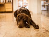 201706_014.jpg