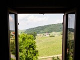 201706_042.jpg