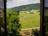 201706_043.jpg