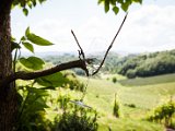 201706_052.jpg