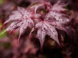 201706_077.jpg