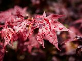 201706_078.jpg