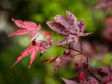 201706_079.jpg