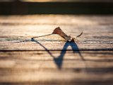 201710_012.jpg