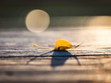 201710_013.jpg