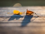 201710_014.jpg
