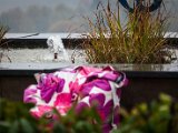 201710_021.jpg