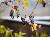 201710_025.jpg