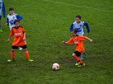 IMG_0133.jpg