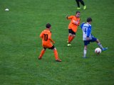 IMG_0229.jpg