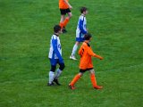IMG_0291.jpg