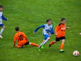 IMG_0293.jpg