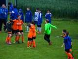 IMG_0338.jpg