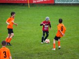 IMG_0437.jpg