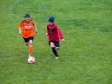 IMG_0454.jpg
