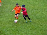 IMG_0455.jpg
