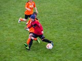 IMG_0456.jpg
