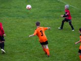 IMG_0464.jpg