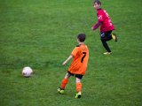 IMG_0467.jpg