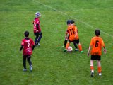 IMG_0607.jpg