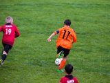 IMG_0610.jpg