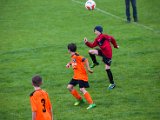 IMG_0634.jpg