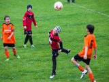 IMG_0635.jpg