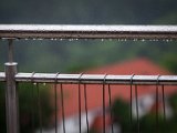 IMG_0683-2.jpg
