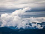 IMG_0727-2.jpg