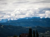 IMG_0731-2.jpg
