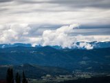 IMG_0733-2.jpg
