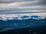 IMG_0737-2.jpg