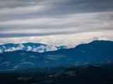 IMG_0739-2.jpg