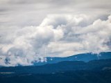 IMG_0771-2.jpg