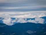 IMG_0775-2.jpg
